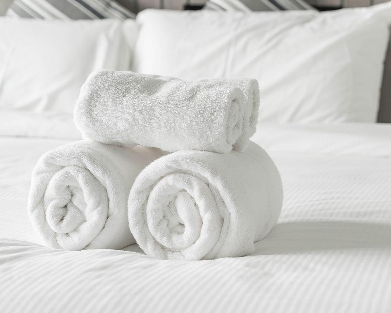 Contact Room Hotel Les Palmiers
